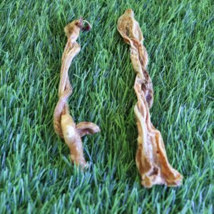 Goat Braided Pizzle