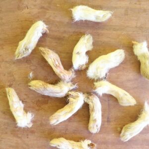 Rabbit Paw Tips