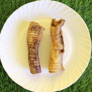 Buff Trachea