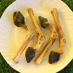 Goat Trotter