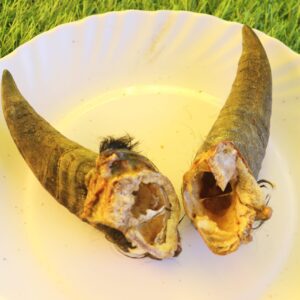 Goat Horn