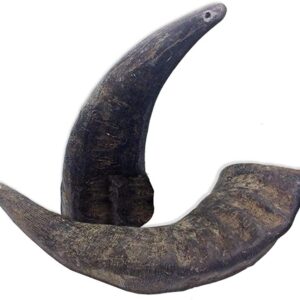 Buff Horn